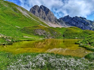 Fototapeta na wymiar lake, mountainsand blossom