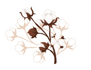 Big cotton flower branch vector illustration isolated on white background