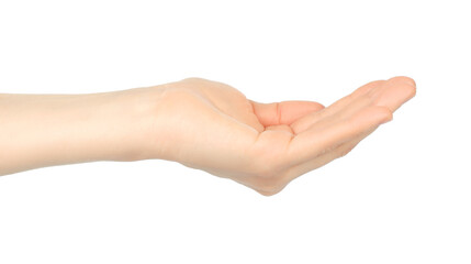 Woman hand shows virtual holding something, on white background