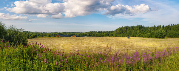 Fototapety na wymiar - Fototapeta24.pl