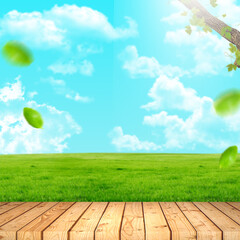 blank wooden board with leaf ornament background for food products