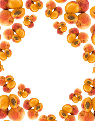 halves of apricots lined with a frame on a white background.With a place for text. View from above. Place for text. Banner and sign.
