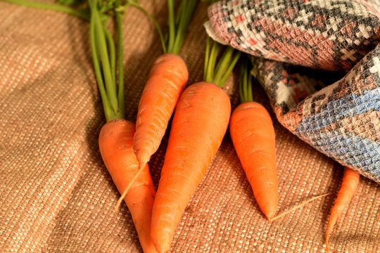 In the picture, a red carrot vegetable lies on a cloth.