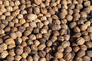 Walnuts lie black on background