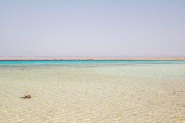lonely beach at the red sea in egypt