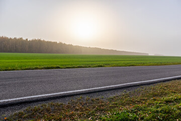 Fototapeta premium road in the sunset in autumn