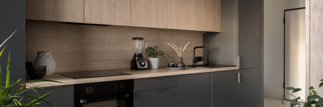 Modern and small kitchen, panorama