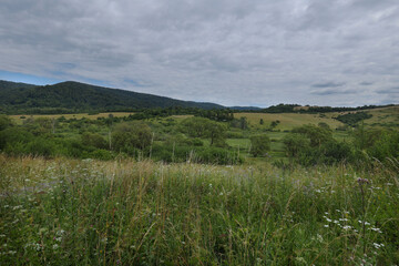 Krywe to dawna wioska w samym sercu Bieszczad z  której zachowały się tylko ruiny i łąki .
Opuszczone dawne pola i łąki- dzisziejszy krajobraz wioski Krywe