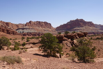 Fototapeta premium Capitol Reef National Park