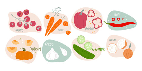 Set flat vector icon of appetizing vegetables. Hand drawn doodle sketch isolated. Funny colored Abstract vector Food template for menu, sticker, logo, detox diet concept, farmers market