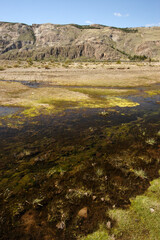 Landscpae at El Chalten, Patagonia, Argentina