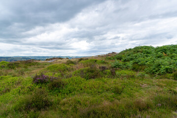 Fototapeta premium National Park Peak District in England, Curbar Edge 2022.