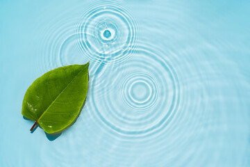 Circle ripples, waves on a transparent, clean background of water with green natural leaves