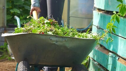 organic waste, vegetable, fruit and garden waste. compost to reduce food waste. compost bin. organics recycling and composting - food waste disposal.