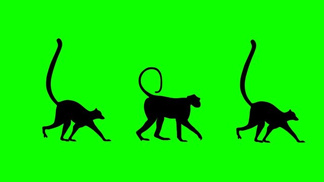 Walking lemurs and monkey, animation on the green background (seamless loop)