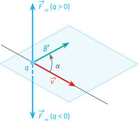 Isolated vector illustration of screw rule vectors.