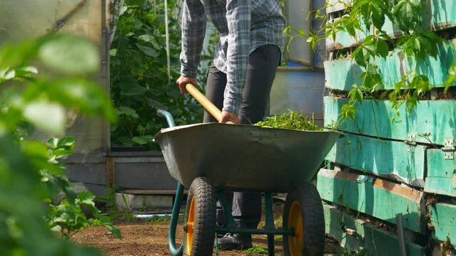 organic waste in garden. organic waste management. green waste. compost bin. organics recycling and composting - food waste disposal.