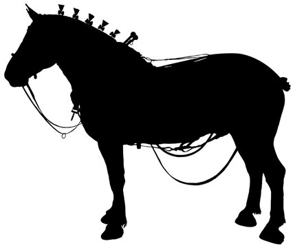 silhouette of a Percheron horse with driving tack 