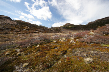 Fototapeta na wymiar Hiking at El Chalten, Patagonia, Argentina
