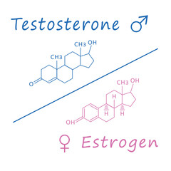 Chemical molecular formula hormone testosterone and estrogen. Male and female sex hormone.
