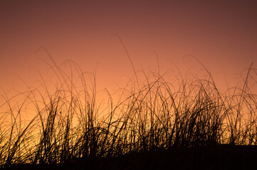 atardecer