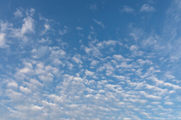 Naklejka na ściany i meble Blue sky background with tiny morning clouds