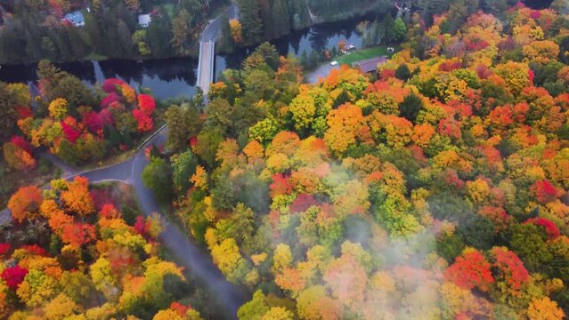 4K Atumn- The Fall season of canada shooted with drone
