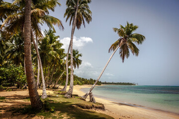 spectacular views of Caribbean beaches of samana in Dominican Republic
