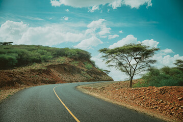 Travel in Africa, acacia tree by the rough road lined with red soil.