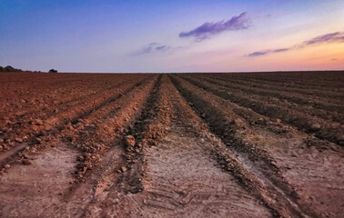 Furrows in a barren farm field, at dawn , Israel