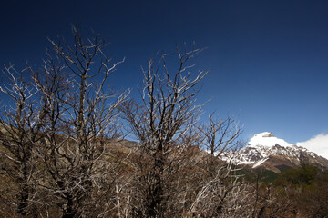 Hiking to Laguna Torre at El Chalten, Patagonia, Argentina