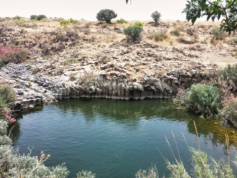 Hexagons Pool in the Meshushim Reserve, Golan 