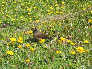 Sydney, Australia - new south whales