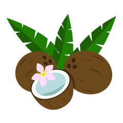 Brown coconut with green palm leaves. Tropical fruit flat vector illustration isolated on white background.