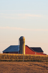Red barn with silo behind a cornfield in the late afternoon sun   An Amish farm in Holmes County, Ohio © Seth