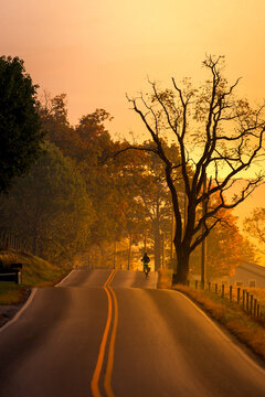 Amish person biking on a country road surrounded by trees in the golden evening sunset