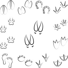 Fototapeta premium bull tracks icon in a collection with other items