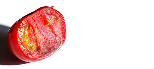 a piece of tomato covered with white and black mold on a white background