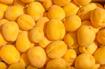 Ripe fresh yellow apricot pattern background