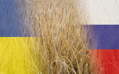 Barley growing naturally in sunlight. Russian-Ukrainian grain deal. Golden cereal grain field. High...