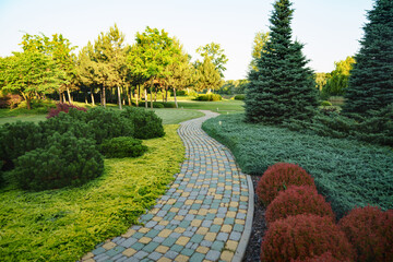 Landscaping in the park. stone-paved path in the garden. 
