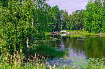 Fototapeta na wymiar Lake in the forest in summer sunny day