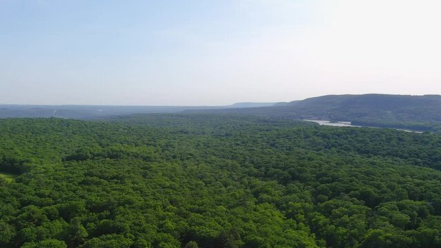 Aerial video of beautiful foliate forest and green trees captured by a drone camera