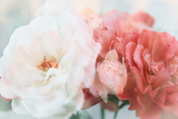 rose floral abstract background photo