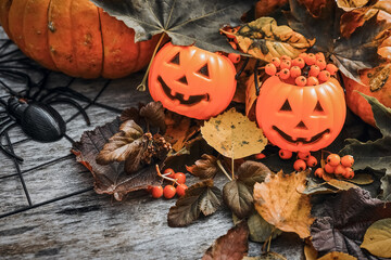 Halloween pumpkins and spider on wooden background