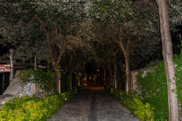 An alley with trees at night in the town of Ravello, Italy