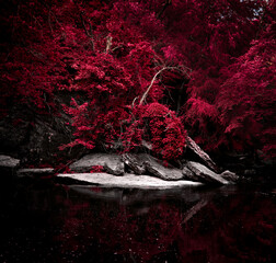 red leaves white rock black water