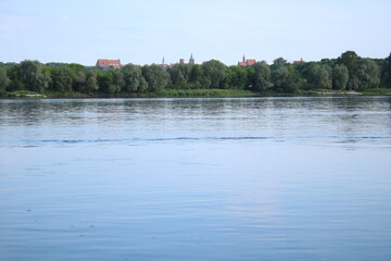 Panorama of the old town of Chelmno from the Vistula River. in the foreground is a dry tree.