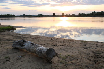 A dry tree is lying on the bank of the river, it is sunset.