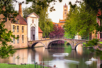 Fototapeta na wymiar Blurred Swans floating on Brugge canal waters with reflection, Belgium
